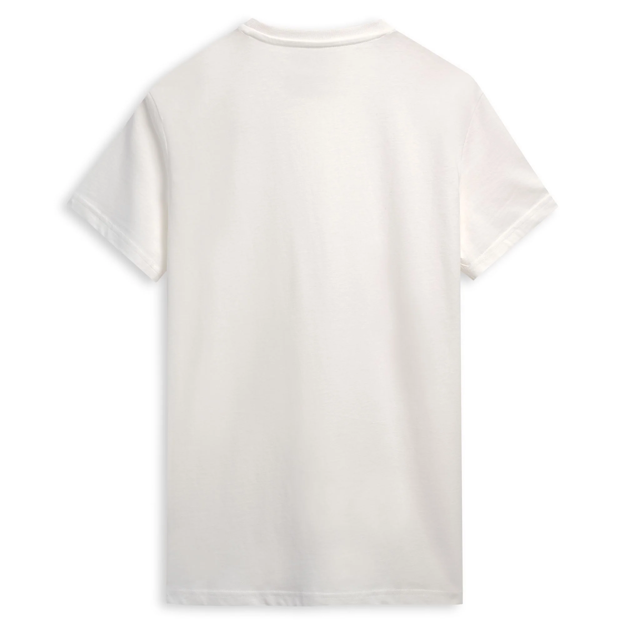 LUC - T-Shirts & Top - T-Shirt - Man - White Cloud-Green College - Image 2